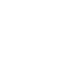 Sole Study